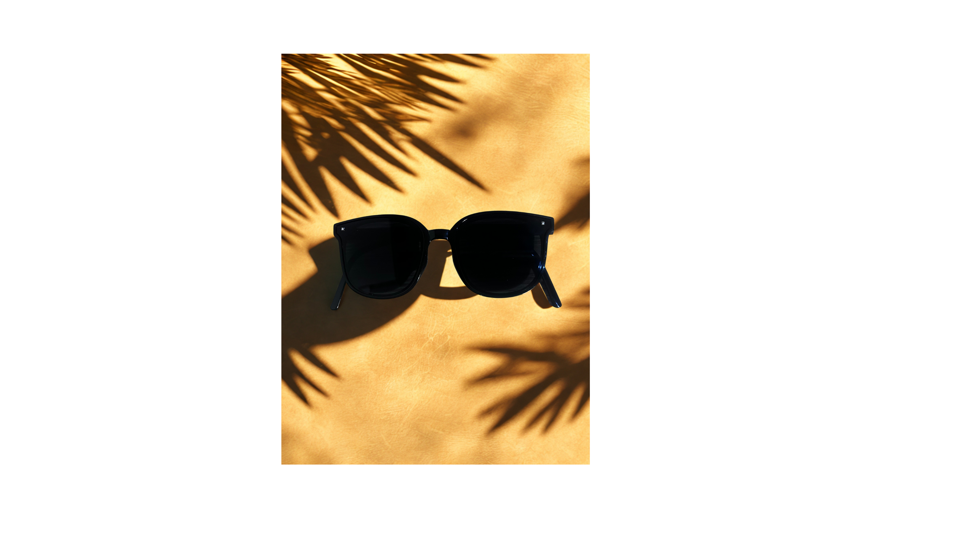 Gafas Plegables Compact Vision